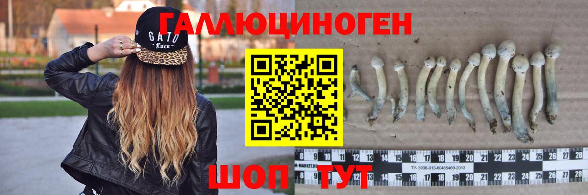Псилоцибиновые грибы Magic Shrooms  Вход с VPN  Новоалтайск 